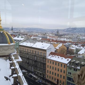 IMG_20231207_112738_1