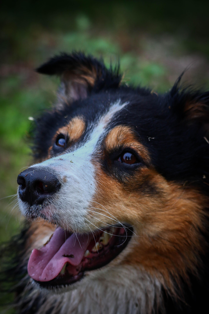 danielkudlej.smichkolemnas