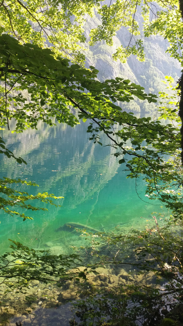 petrahlouskova.barvykolemnas